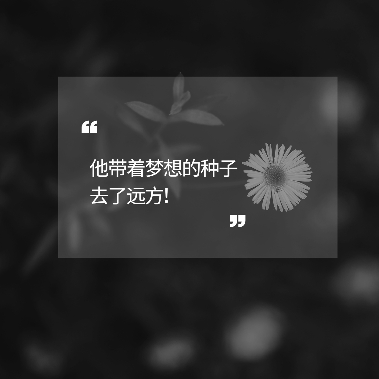 袁隆平用一粒種子的力量改變了世界！