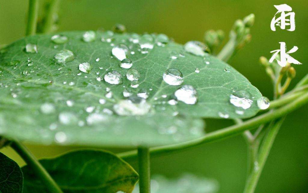 雨水潤萬物，兼顧沙與泥！